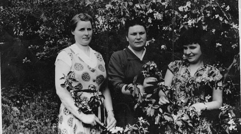 Учителя школы Авдеева А.К., Пенькова Л.И., и … может кто-то узнает свою учительницу, к сожалению, мы не смогли определить ее имя. Учителя школы Авдеева А.К., Пенькова Л.И., и … может кто-то узнает свою учительницу, к сожалению, мы не смогли определить ее имя.